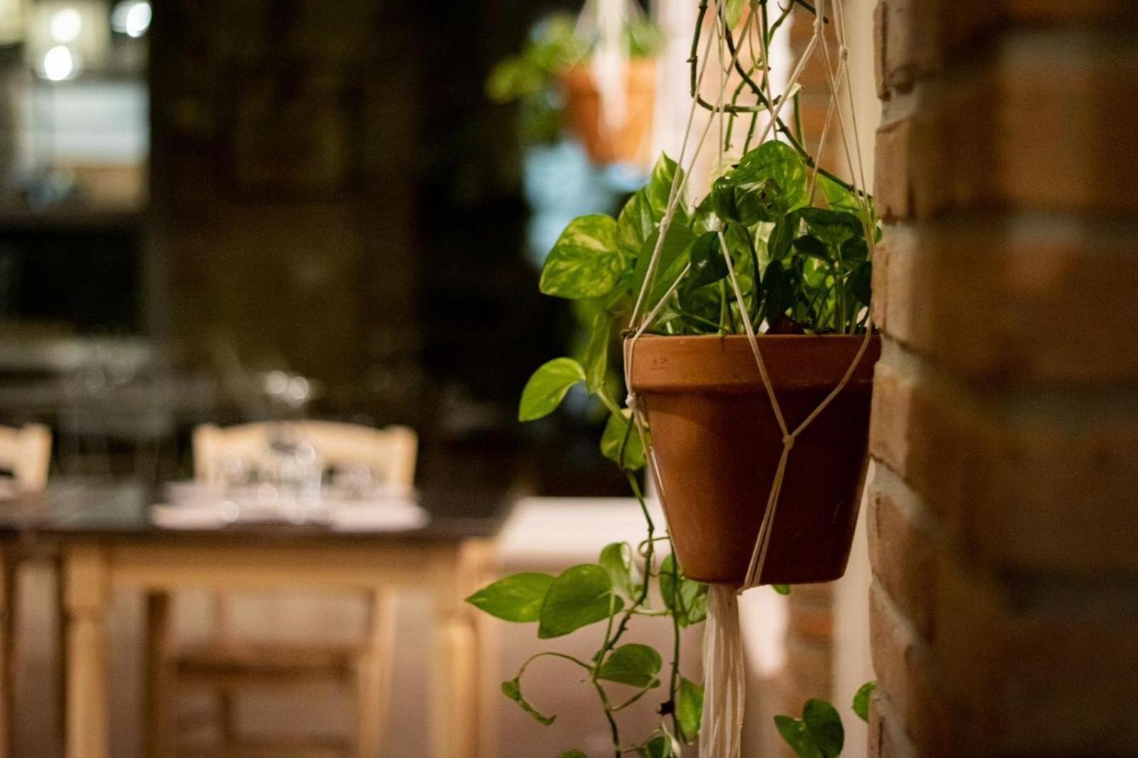 Agricola Casa Cucina Bottega Villa Cesena Luaran gambar